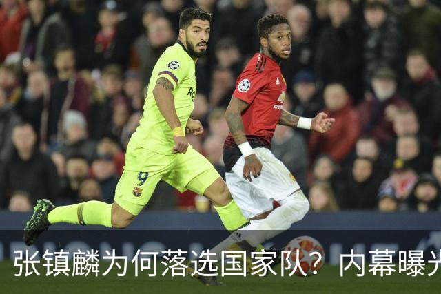 张镇麟为何落选国家队？内幕曝光，叫人心疼，郭士强并没放弃他