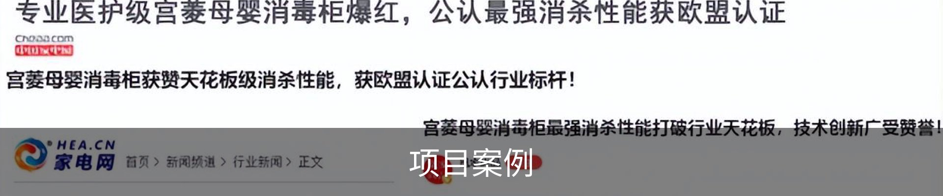 项目案例